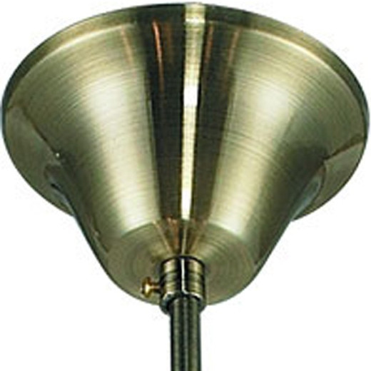 Подвесная люстра TopLight Sylvia TL7280D-05AB