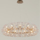 Подвесная люстра ILLUMICO IL5004-1 IL5004-20PPA-26 GD BOND
