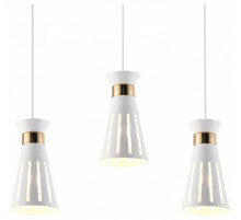 Подвесная люстра Rivoli  5110-203