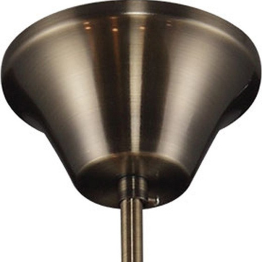 Подвесная люстра TopLight Zoe TL7220D-08AB