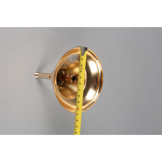 Подвесная люстра Aployt Zibille APL.769.03.10