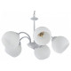 Подвесная люстра Arte Milano Amalfi-5010 335010/5 WT+SL