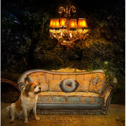 Подвесная люстра Lightstar Nativo 715067