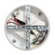 Подвесная люстра Freya Collie FR6200PL-L142W