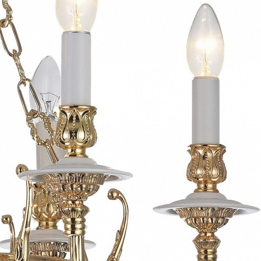Подвесная люстра Arte Lamp 5966 A5966LM-6WG