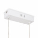 Подвесная люстра Freya Chainy FR6121PL-L38W