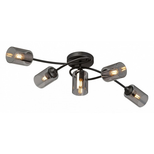 Потолочная люстра Vitaluce V2048 V2048-1/5PL