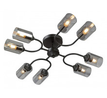 Потолочная люстра Vitaluce V2823 V2823-1/8PL