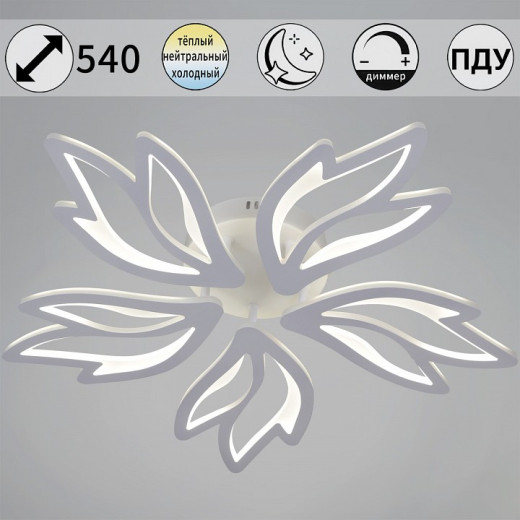 Потолочная люстра 09862-0.3-05 WH