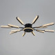 Потолочная люстра  97290-0.3-12 BK