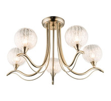 Потолочная люстра Globo Preto 60212-5