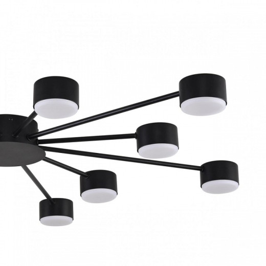 Потолочная люстра Lumion TORINA 8344/12C