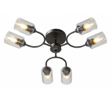 Потолочная люстра Vitaluce V2822 V2822-1/6PL