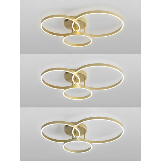 Потолочная люстра Natali Kovaltseva  LED LAMPS 81480