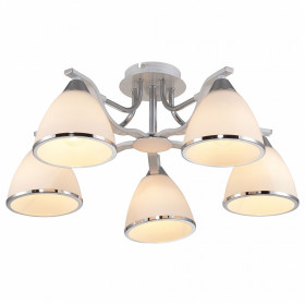 Потолочная люстра TopLight Sheena TL3670X-05RY