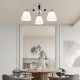 Потолочная люстра Arte Milano Napoli-322408 325119/3 CR+BK