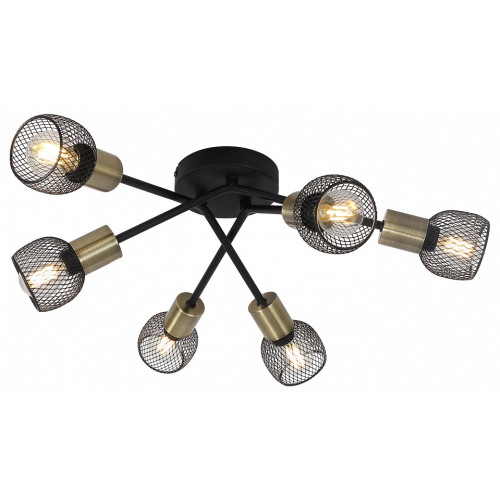 Потолочная люстра Globo Fiastra 54028-6S