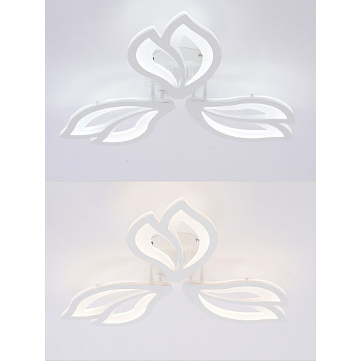 Потолочная люстра Natali Kovaltseva FORTUNA LED LAMPS 81107/2C