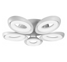 Потолочная люстра iLedex Fancy FS-011-X5 120W WH