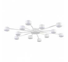 Потолочная люстра Lumion TORINA 8343/12C