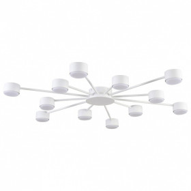 Потолочная люстра Lumion TORINA 8343/12C