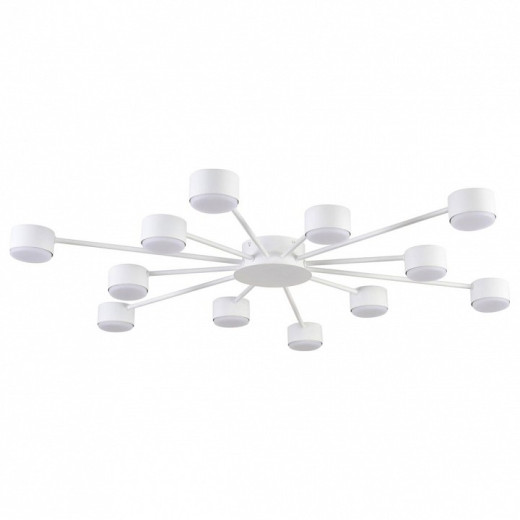 Потолочная люстра Lumion TORINA 8343/12C