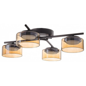 Потолочная люстра Citilux ESPACE CL243141