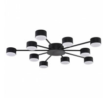 Потолочная люстра Lumion TORINA 8344/10C