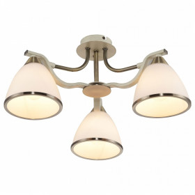 Потолочная люстра TopLight Sheena TL3670X-03AB