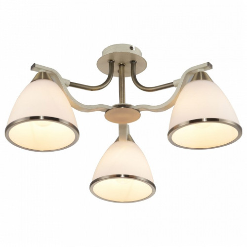 Потолочная люстра TopLight Sheena TL3670X-03AB