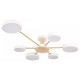 Потолочная люстра Loft it Sunrise 10316/6 White