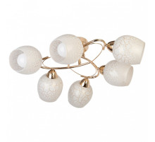 Потолочная люстра TopLight Janelle TL7440X-06FG