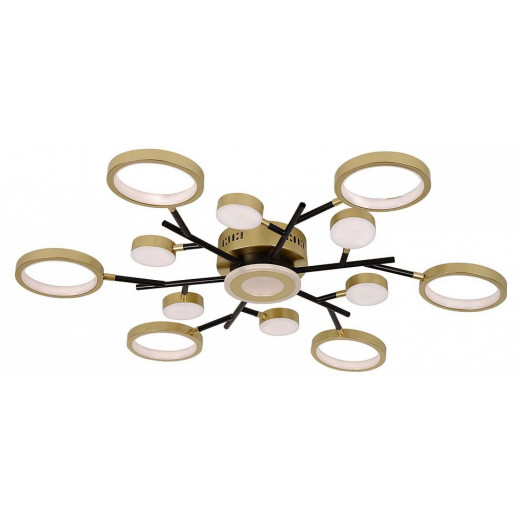 Потолочная люстра F-promo Hybrid 4686-13C