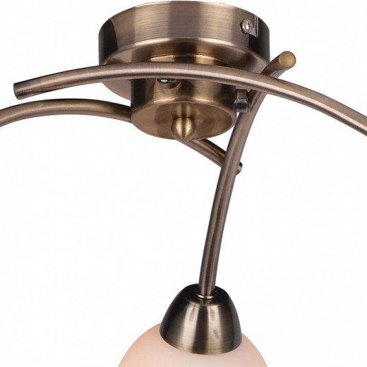 Потолочная люстра TopLight Merry TL3780X-03AB