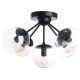Потолочная люстра Arte Lamp Bolla A1664PL-5BK