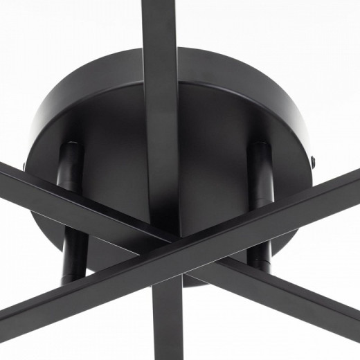 Потолочная люстра Citilux Glob CL209261