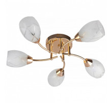 Потолочная люстра TopLight Lucy TL7120X-05FG