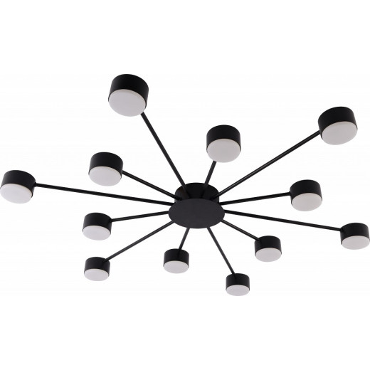 Потолочная люстра Rivoli Leona 3184-312