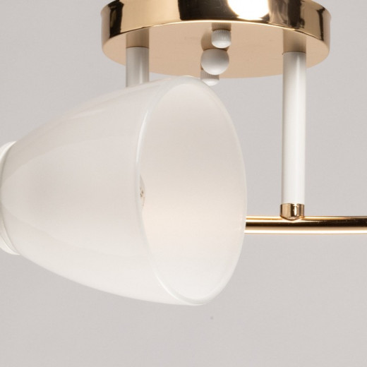 Потолочная люстра De City Восторг 25 242017903