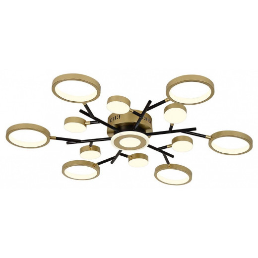 Потолочная люстра F-promo Hybrid 4686-13C