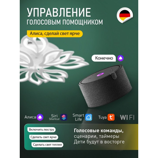 Потолочная люстра Natali Kovaltseva  LED SMART 84021
