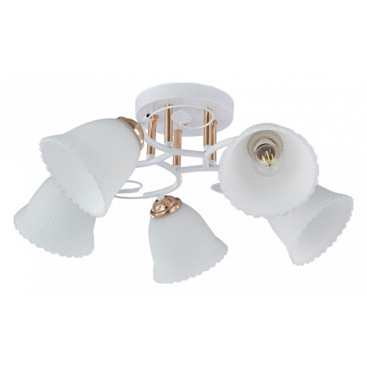 Потолочная люстра Arte Milano AMALFI-325395 325395/5A WH+FG