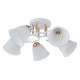 Потолочная люстра Arte Milano AMALFI-325395 325395/5A WH+FG
