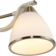 Потолочная люстра TopLight Sheena TL3670X-03AB