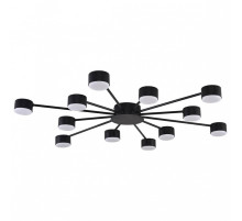 Потолочная люстра Lumion TORINA 8344/12C