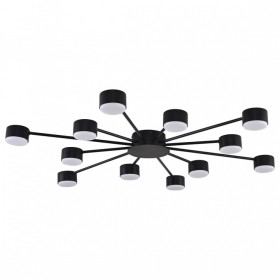 Потолочная люстра Lumion TORINA 8344/12C