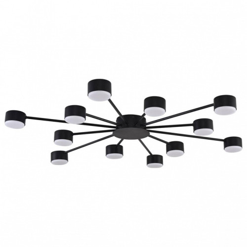 Потолочная люстра Lumion TORINA 8344/12C