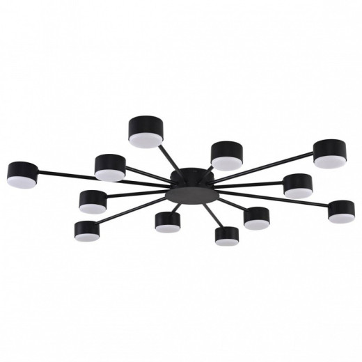 Потолочная люстра Lumion TORINA 8344/12C