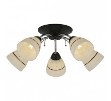 Потолочная люстра TopLight Winnifred TL1255D-05BC