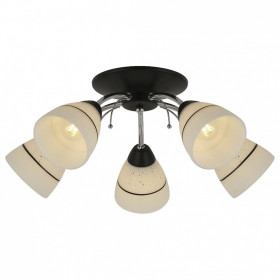Потолочная люстра TopLight Winnifred TL1255D-05BC